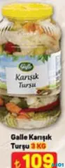 GALLE KARIŞIK TURŞU 3 KG